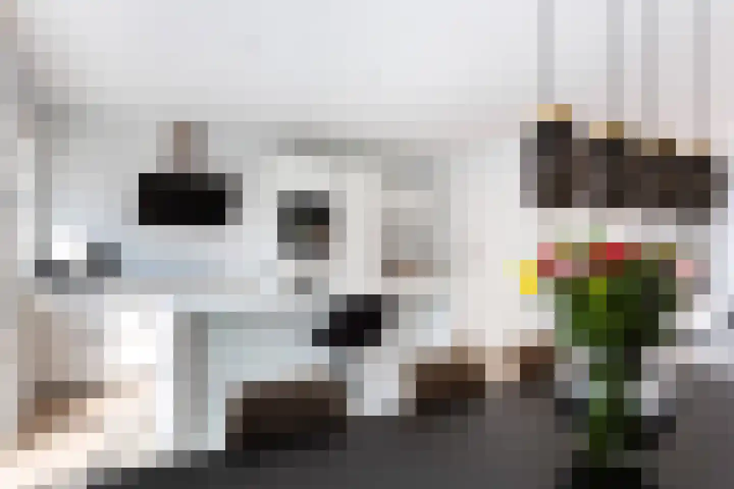 Van Eysingalaan 2 Utrecht thumbnail 11