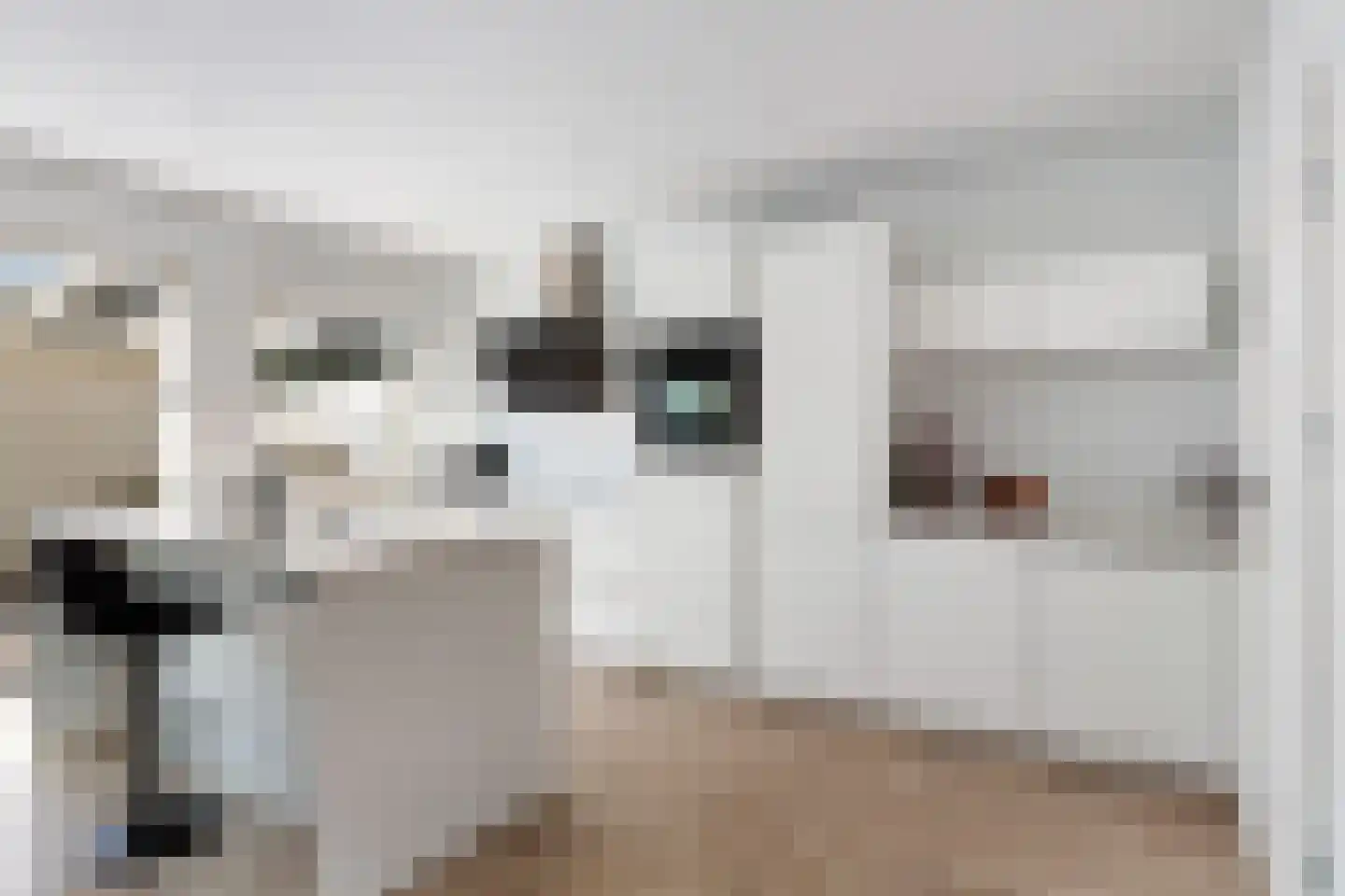 Van Eysingalaan 2 Utrecht thumbnail 12