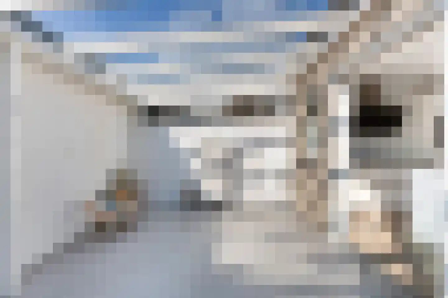 Van Eysingalaan 2 Utrecht thumbnail 15