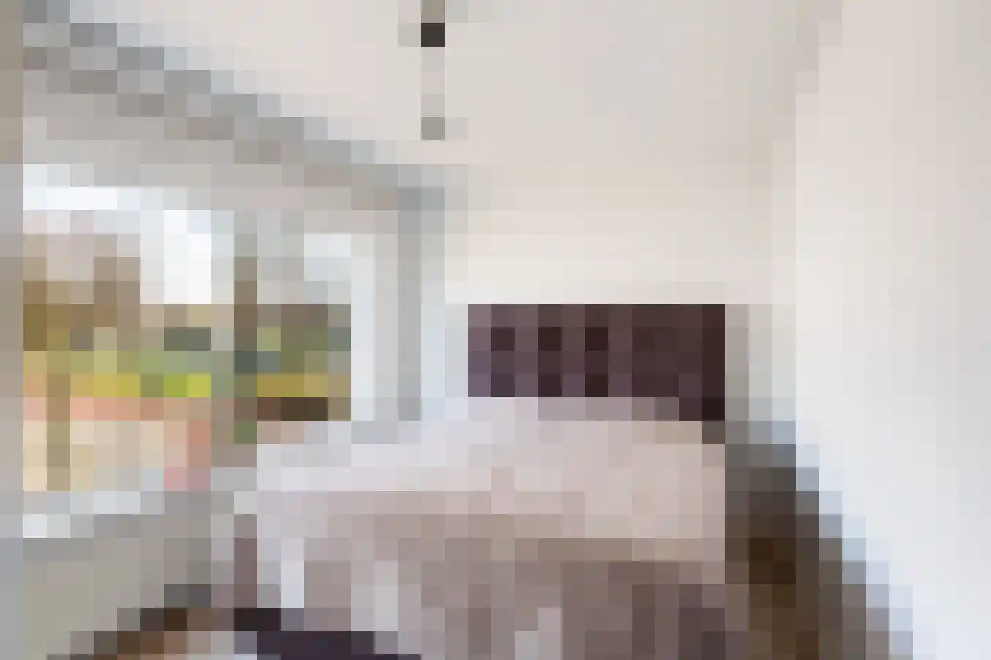 Van Eysingalaan 2 Utrecht thumbnail 16