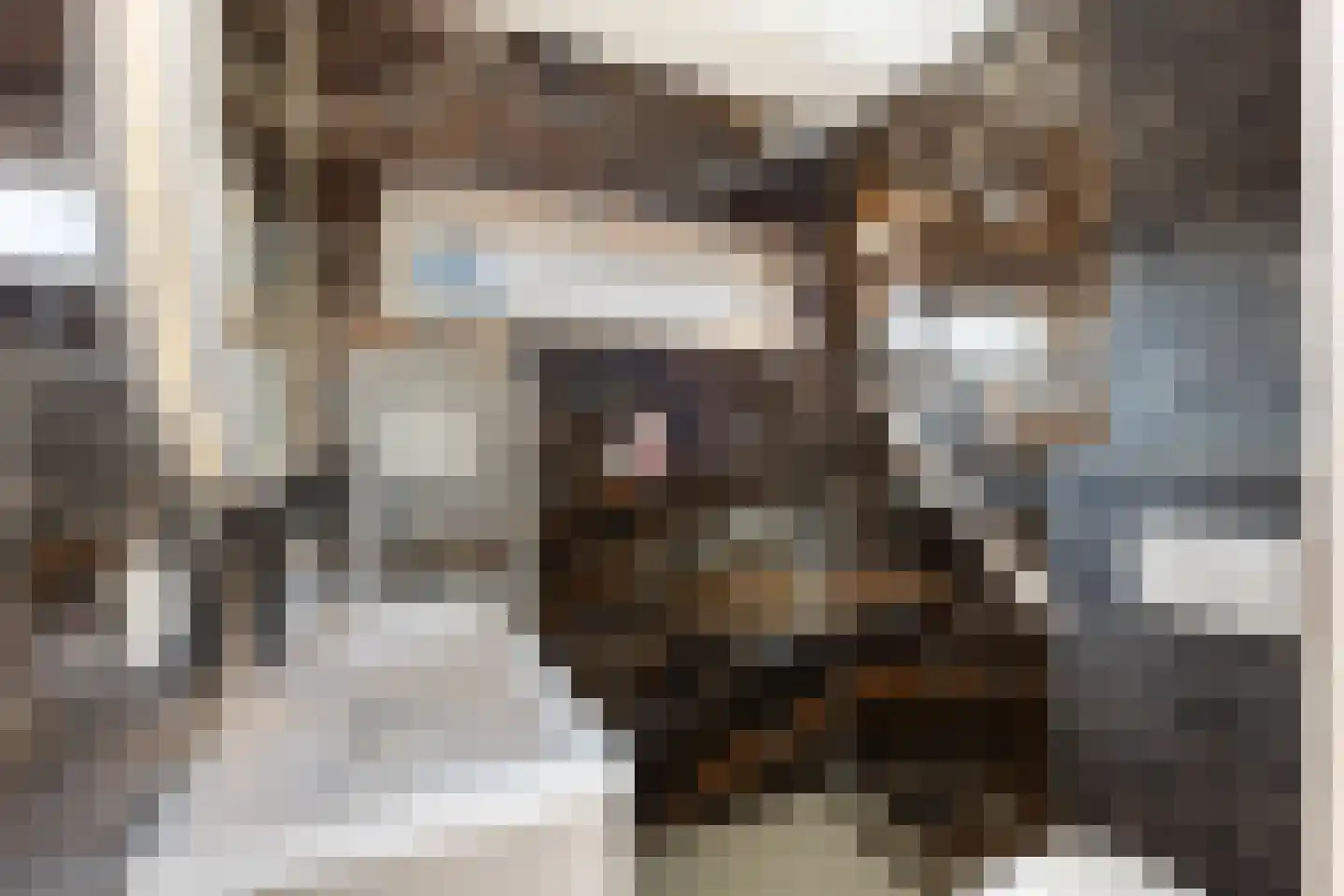 Van Eysingalaan 2 Utrecht thumbnail 26