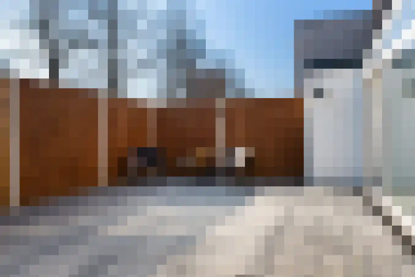 Van Eysingalaan 2 Utrecht thumbnail 30