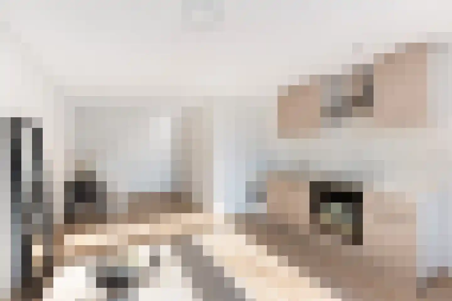 Van Eysingalaan 2 Utrecht thumbnail 37