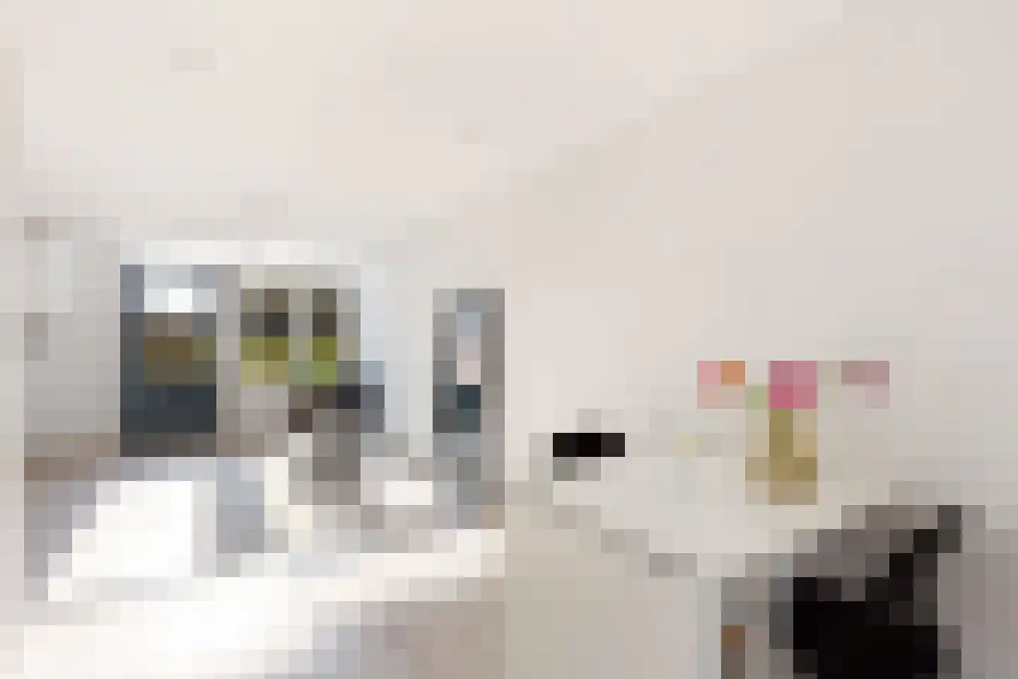 Van Eysingalaan 2 Utrecht thumbnail 39