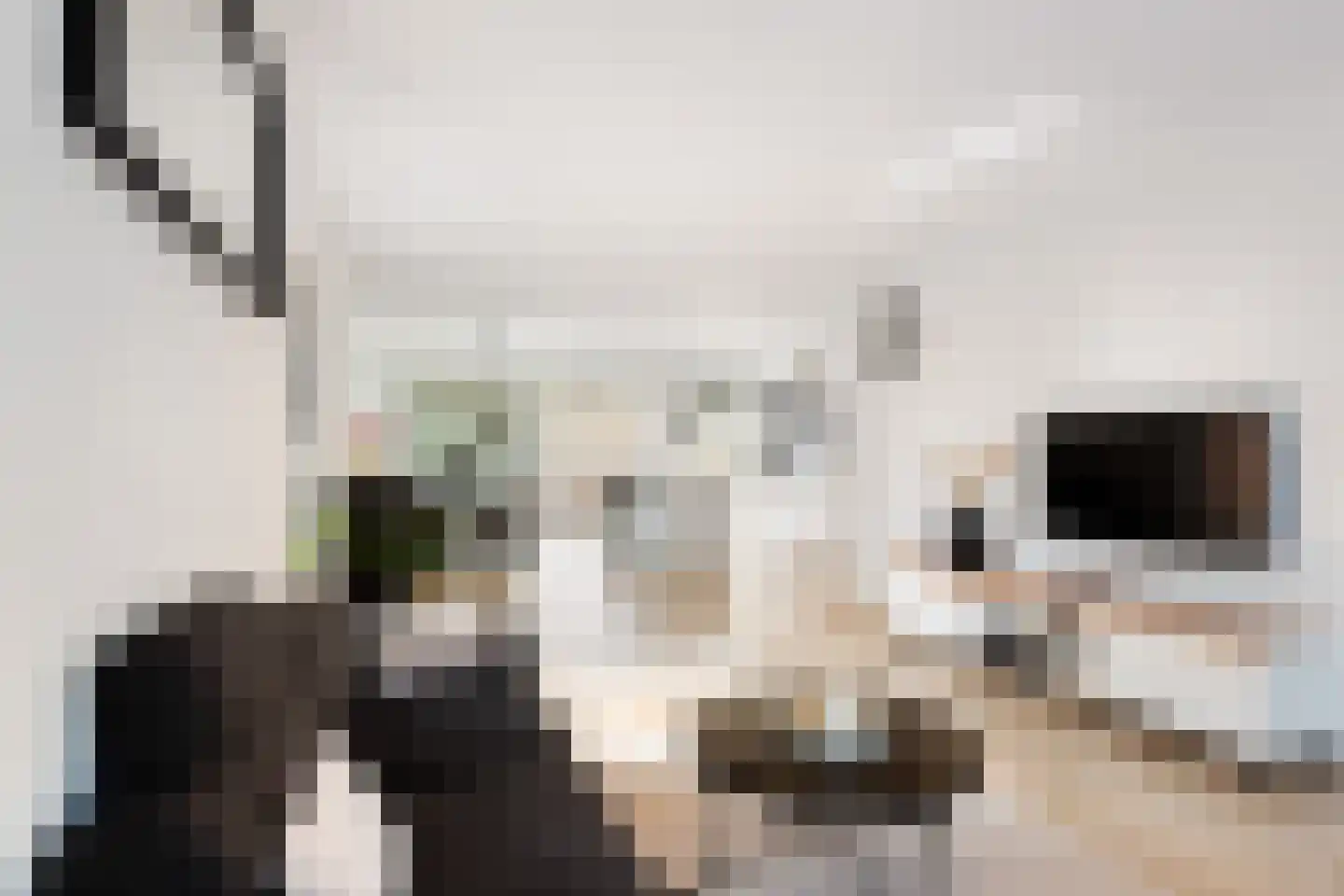 Van Eysingalaan 2 Utrecht thumbnail 7