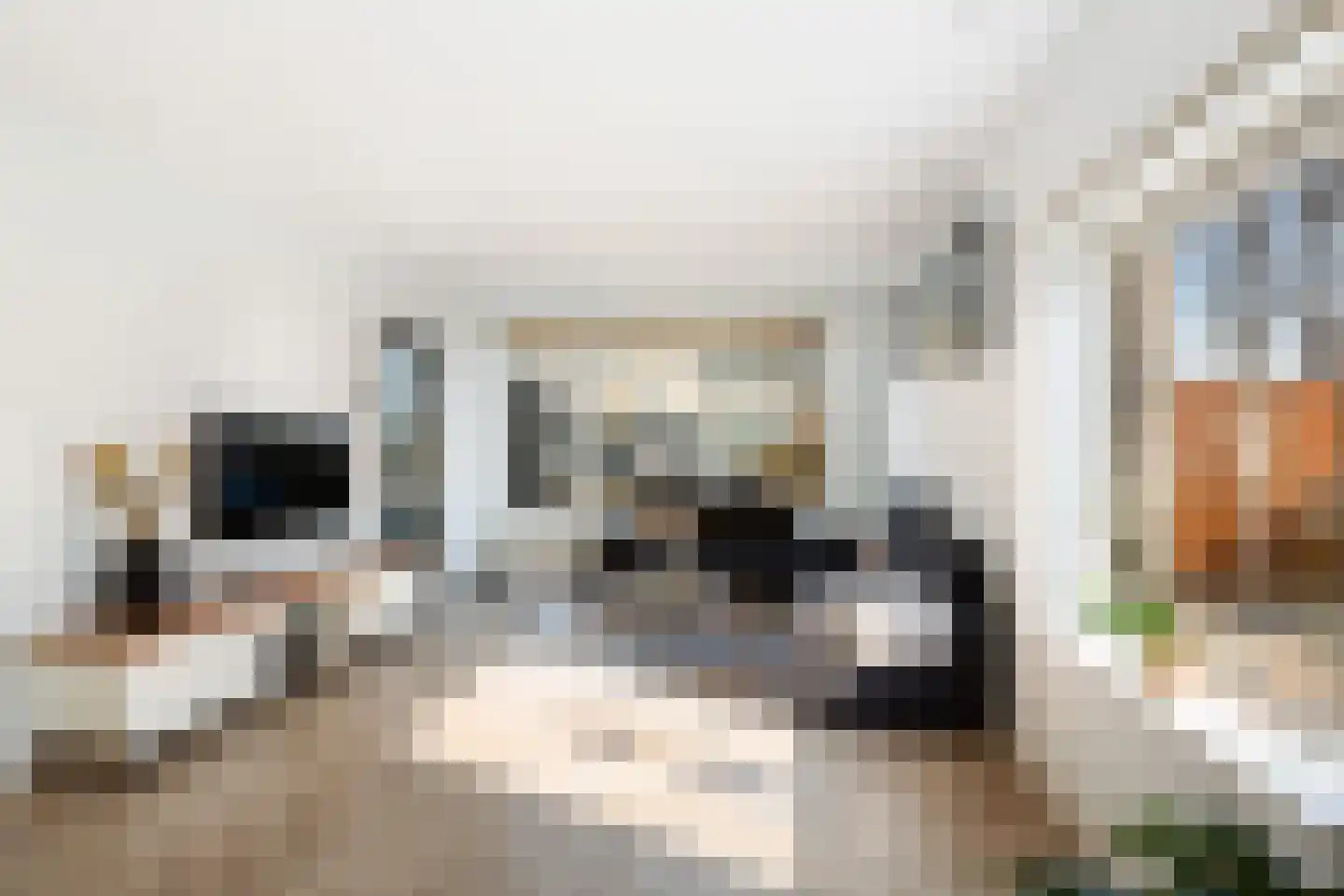 Van Eysingalaan 2 Utrecht thumbnail 8
