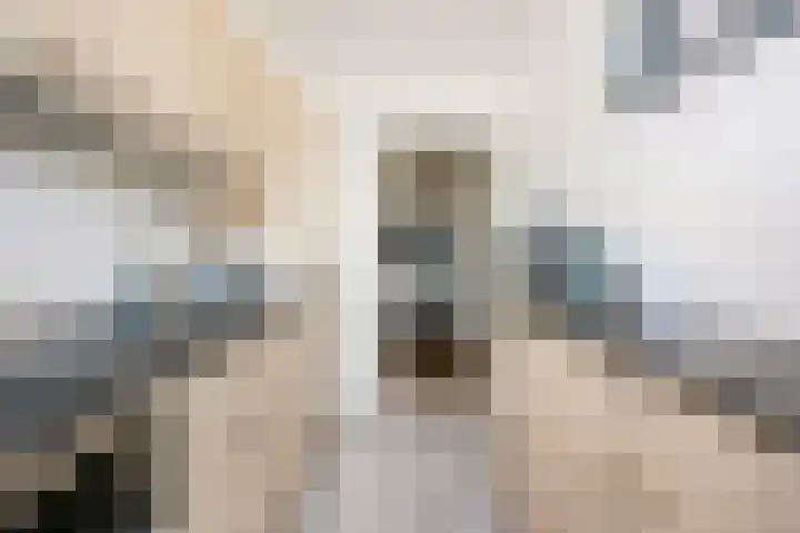 Van Eysingalaan 24 Utrecht thumbnail 13