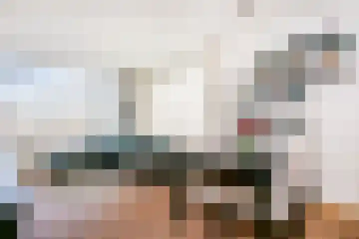 Van Eysingalaan 24 Utrecht thumbnail 6