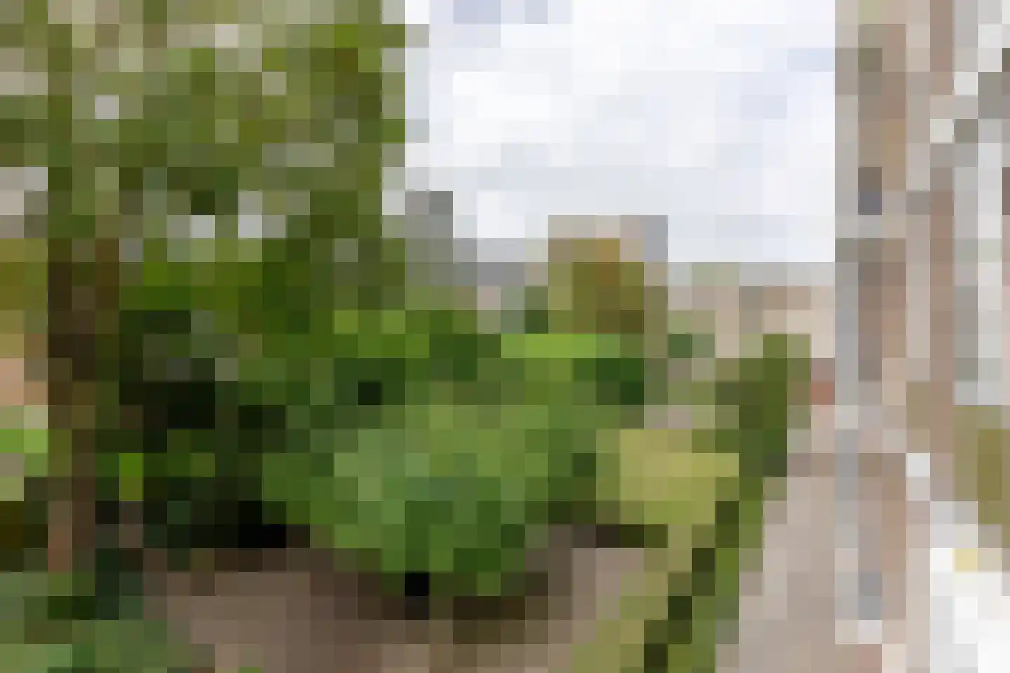Van Eysingalaan 264 Utrecht thumbnail 23