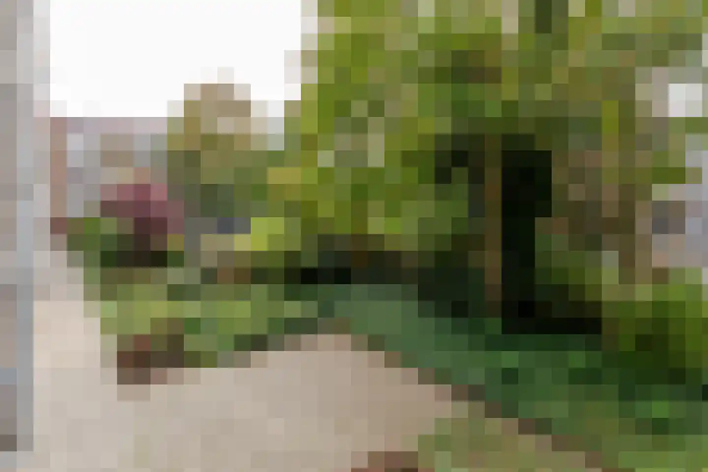 Van Eysingalaan 264 Utrecht thumbnail 24