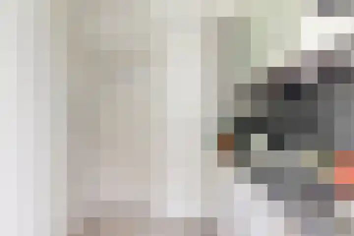 Van Eysingalaan 272 Utrecht thumbnail 12