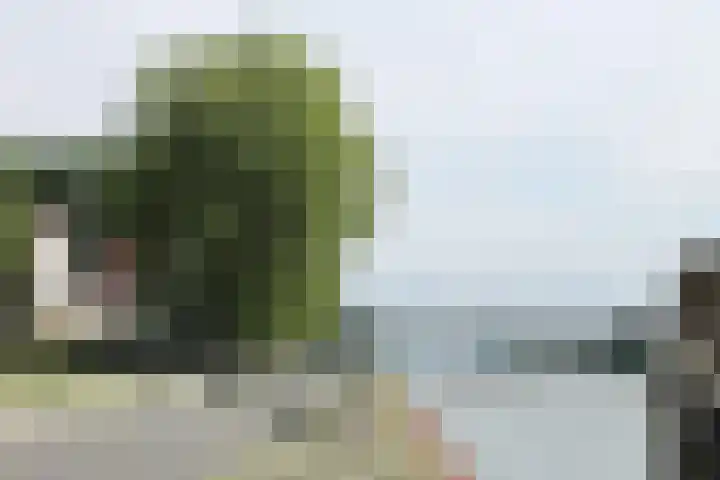 Van Eysingalaan 272 Utrecht thumbnail 24