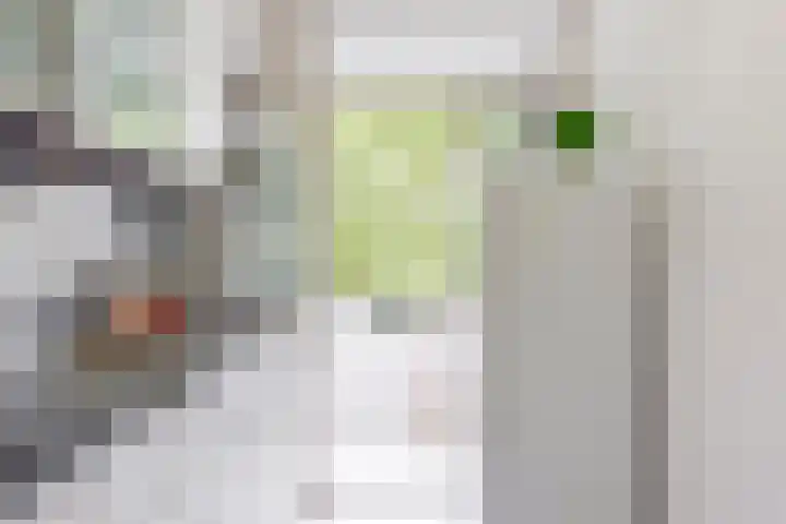 Van Eysingalaan 272 Utrecht thumbnail 9