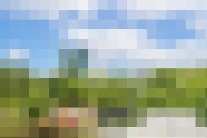 Van Eysingalaan 310 Utrecht thumbnail 11