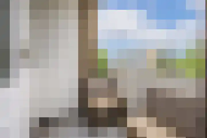 Van Eysingalaan 310 Utrecht thumbnail 17