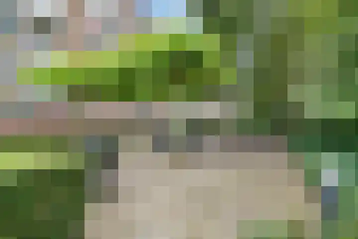 Van Eysingalaan 310 Utrecht thumbnail 19