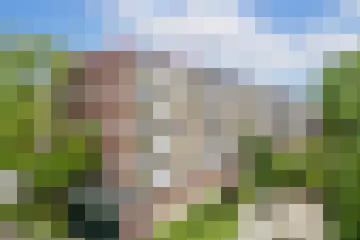 Van Eysingalaan 310 Utrecht thumbnail 20