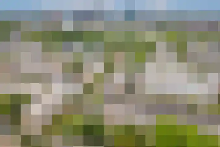 Van Eysingalaan 310 Utrecht thumbnail 21