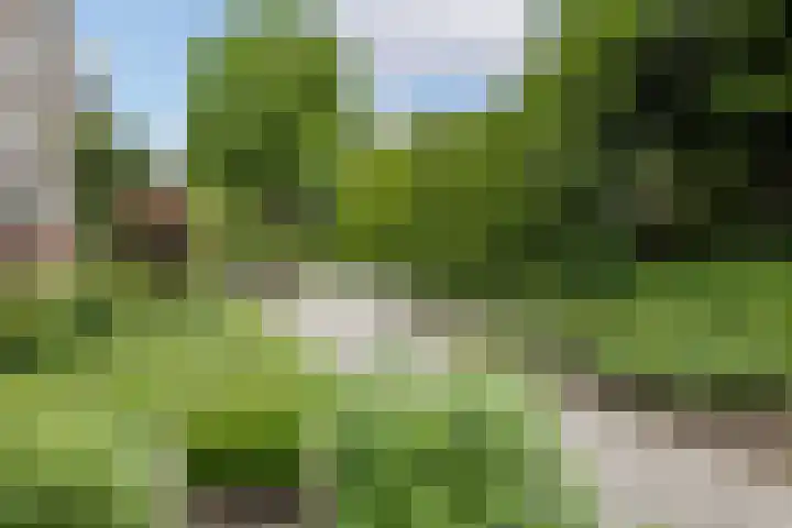 Van Eysingalaan 310 Utrecht thumbnail 5