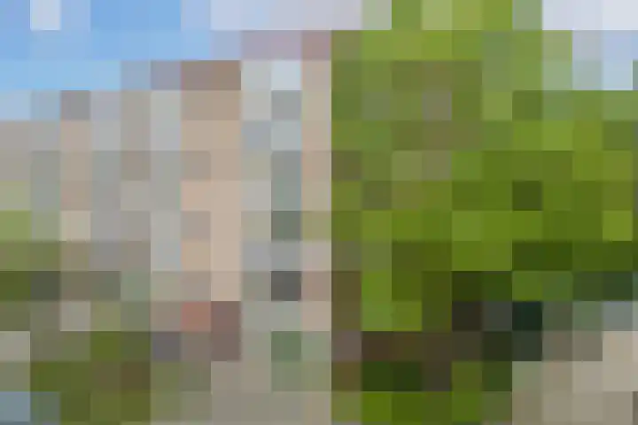Van Eysingalaan 310 Utrecht thumbnail 6