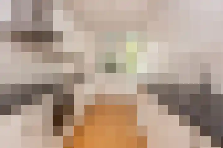 Van Eysingalaan 318 Utrecht thumbnail 12