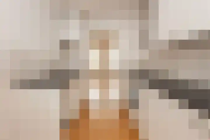 Van Eysingalaan 318 Utrecht thumbnail 13