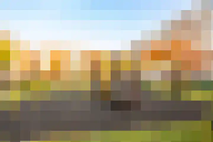 Van Eysingalaan 318 Utrecht thumbnail 23