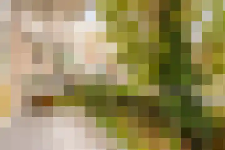 Van Eysingalaan 318 Utrecht thumbnail 7