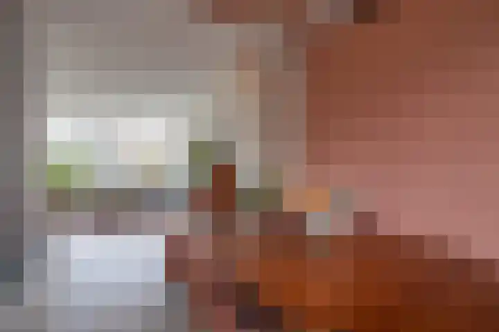 Van Eysingalaan 323 Utrecht thumbnail 10