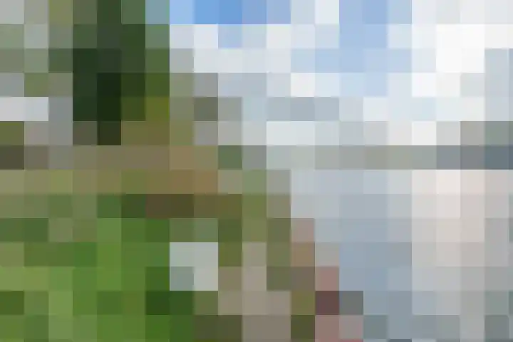 Van Eysingalaan 323 Utrecht thumbnail 30
