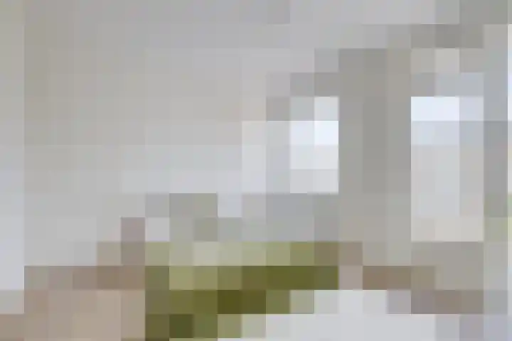 Van Eysingalaan 327 Utrecht thumbnail 16