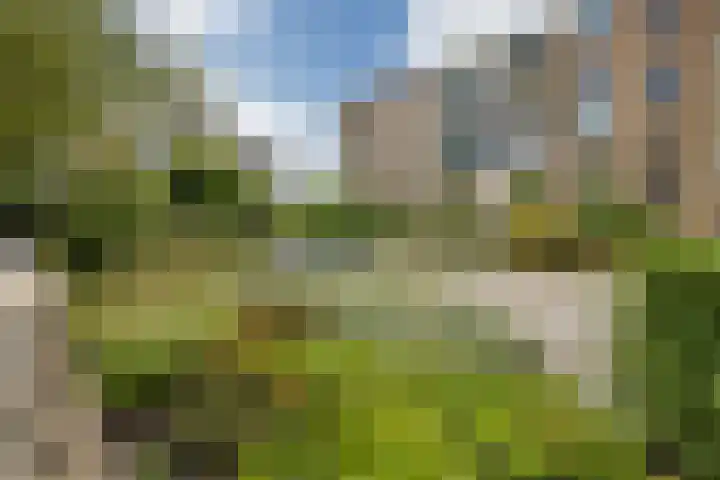 Van Eysingalaan 327 Utrecht thumbnail 20