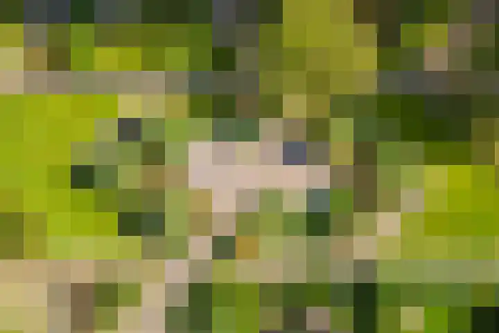 Van Eysingalaan 327 Utrecht thumbnail 21