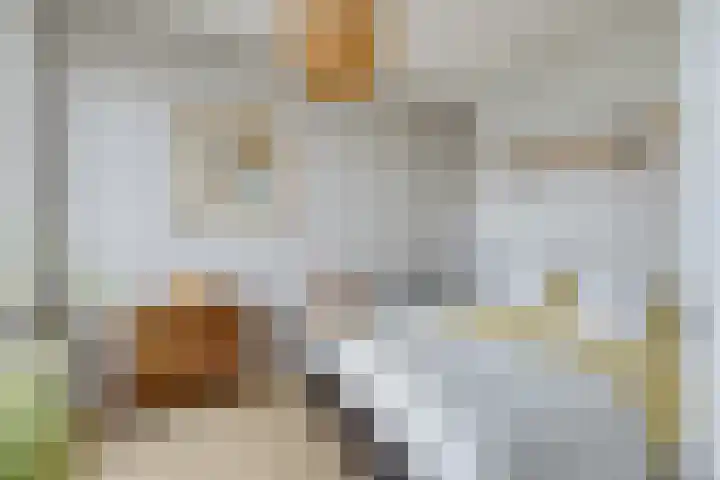 Van Eysingalaan 328 Utrecht thumbnail 12