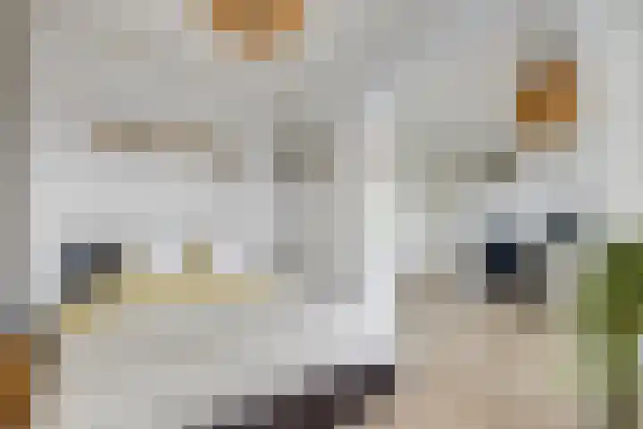 Van Eysingalaan 328 Utrecht thumbnail 13