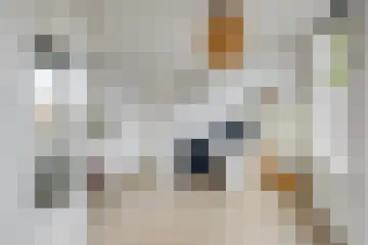 Van Eysingalaan 328 Utrecht thumbnail 14