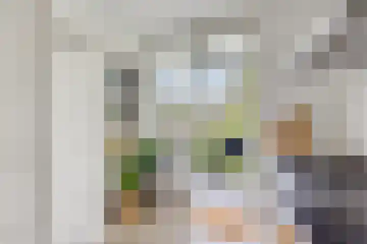 Van Eysingalaan 328 Utrecht thumbnail 17