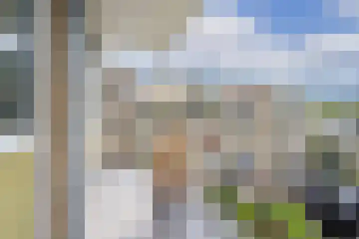 Van Eysingalaan 328 Utrecht thumbnail 19