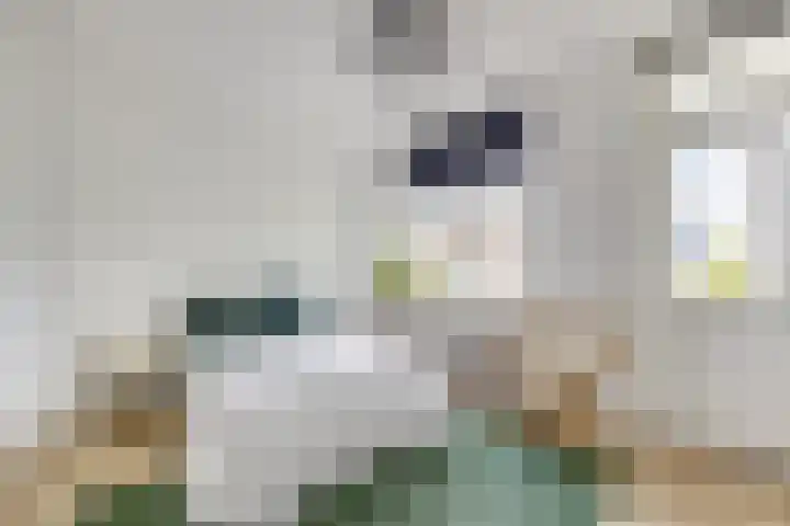 Van Eysingalaan 328 Utrecht thumbnail 21