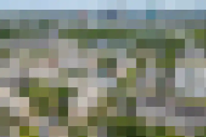 Van Eysingalaan 328 Utrecht thumbnail 24