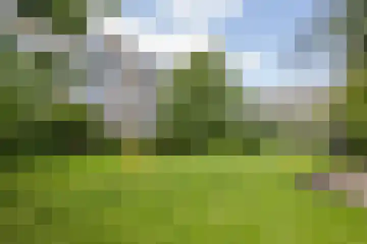 Van Eysingalaan 328 Utrecht thumbnail 26
