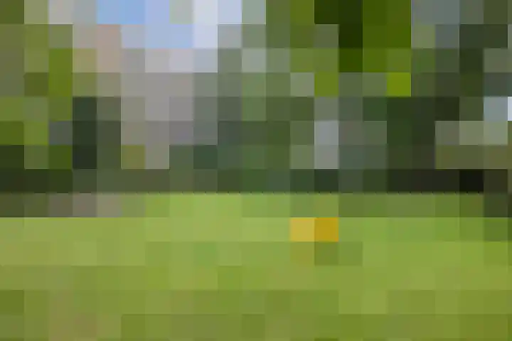 Van Eysingalaan 328 Utrecht thumbnail 27