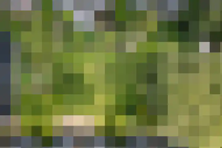 Van Eysingalaan 328 Utrecht thumbnail 28