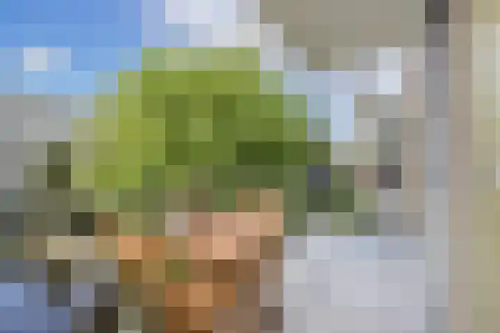 Van Eysingalaan 328 Utrecht thumbnail 4