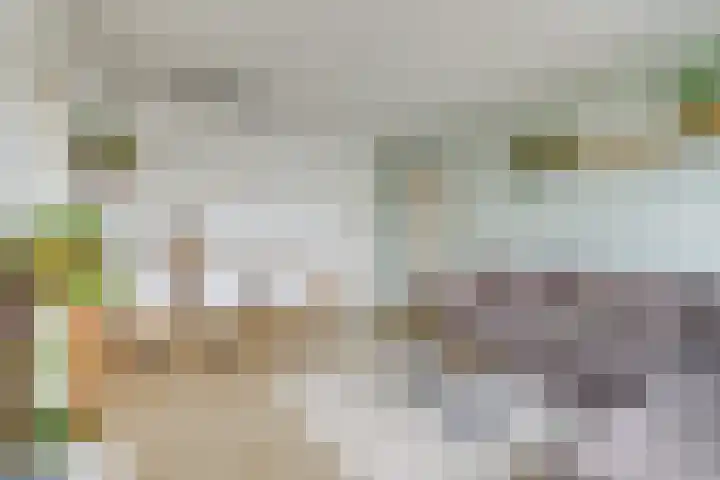 Van Eysingalaan 328 Utrecht thumbnail 7