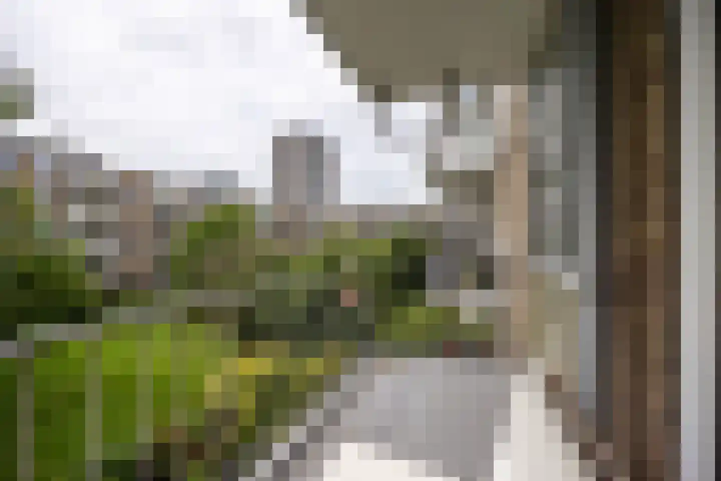 Van Eysingalaan 340 Utrecht thumbnail 13