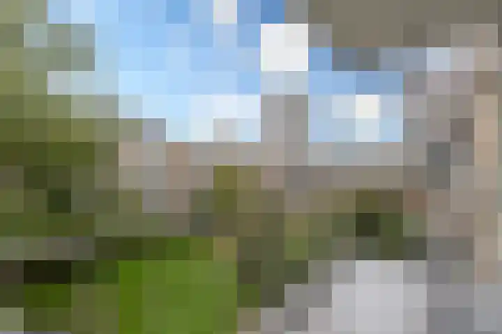 Van Eysingalaan 344 Utrecht thumbnail 10