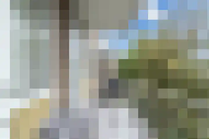 Van Eysingalaan 344 Utrecht thumbnail 11