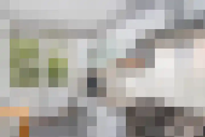 Van Eysingalaan 344 Utrecht thumbnail 15