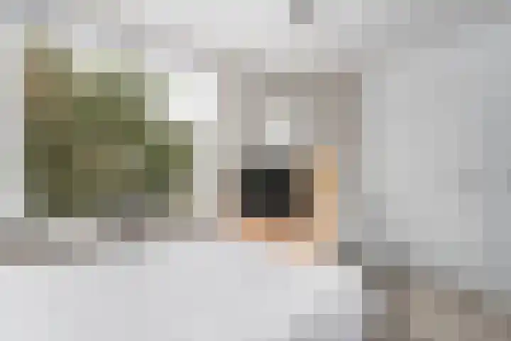 Van Eysingalaan 344 Utrecht thumbnail 8